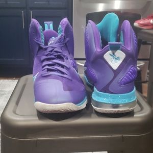 Lebron 9 'Summit Lake Hornets'